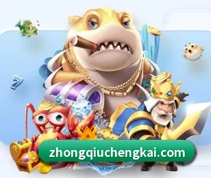 五大服务分区,信息按项目分类